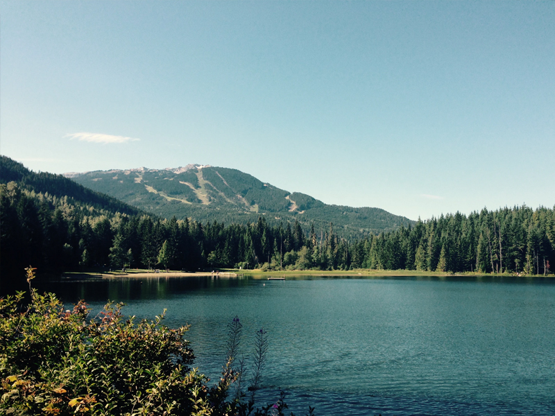 Forest & Lake